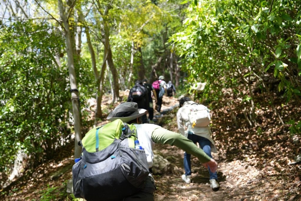 山頂を目指して急な山道を登る参加者たち