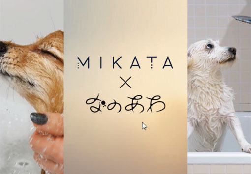 シャワーカートリッジ「MIKATA」とシャンプー中の犬