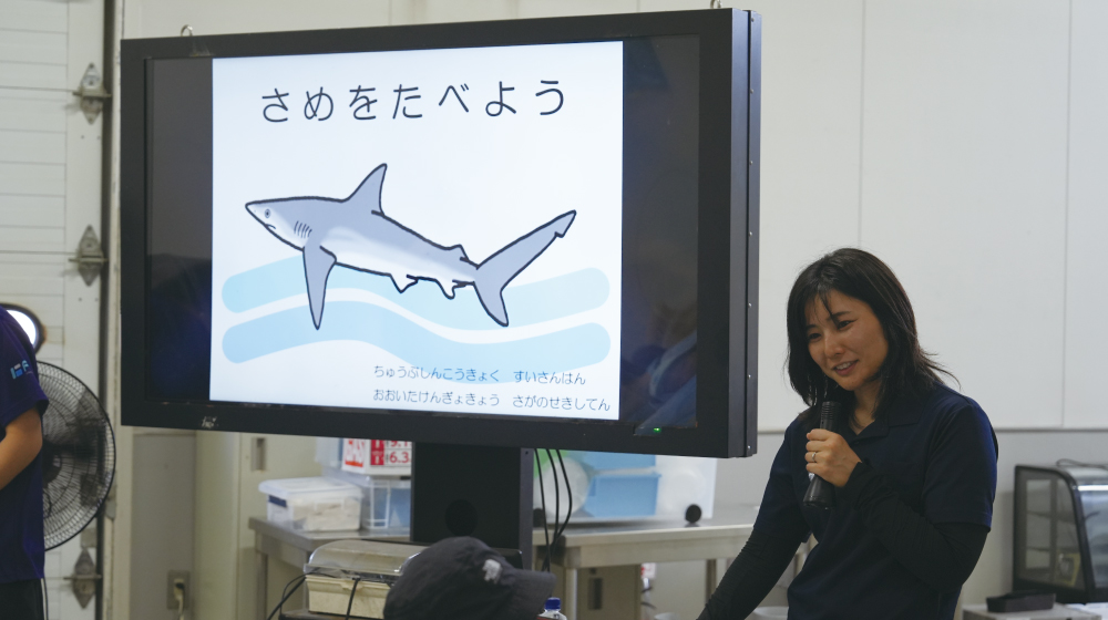 モニターを使ってサメについて説明するスタッフ