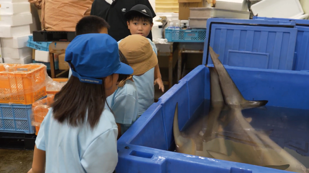冷蔵庫で佐賀関で獲れたサメを見学する子どもたち