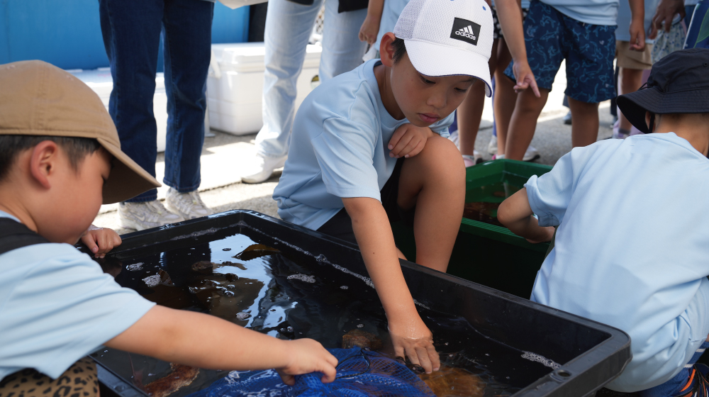 タッチプールで海の生きものに触れる子どもたち