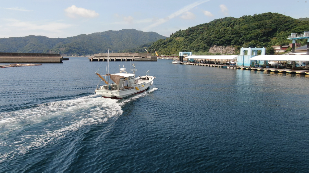 ドローンで空撮した佐賀関の海を航行する漁船